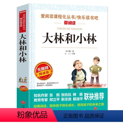 [正版]爱阅读 大林和小林 儿童文学全集 天地出版社原版小学生三年级课外阅读书籍 四五年级课外书阅读经典书目老师儿童故