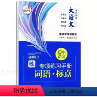 [正版]全新快乐考生大语文 初中语文专项练习手册 词语标点 重点中学实验班 中学生同步教辅练习册 河海大学出版社