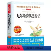 [正版]爱阅读天地出版社尼尔斯骑鹅旅行记小学原著四五六年级课外阅读书经典书籍阅读老师名著快乐读书吧人教版下册读物10-