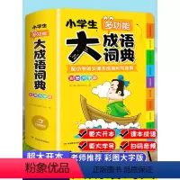 [正版]小学生多功能大成语词典中小学新版彩图 大开本大字 汉语成语词典 现代成语词典常用成语工具书