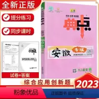 语文九年级全一册[安徽专版] 九年级 [正版]初中典中点七八九年级数学物理语文英语人教版沪科版沪粤版安徽专版译林版