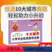 [语文]十大城市小升初真题卷 小学通用 [正版]小升初城市卷十大城市小学毕业检测指导卷真题小学升初中招生考试语文数学英语