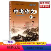 中考作文(2024)新视角 初中通用 [正版]中考作文新视角一本通2024升级修订版新视角教辅系列丛书名校作业新视角语文