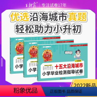 [语+数+英]十五大沿海城市小升初真题卷 小学通用 [正版]小升初城市卷十五大城市小学毕业检测指导卷真题初中招生考试语文