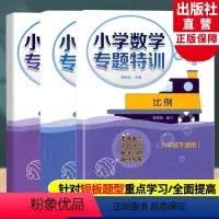 小学数学专题特训 六年级下全3册 六年级下 [正版]小学数学专题特训六年级下册适用全3册 百分数+比例+圆柱与圆锥 小学