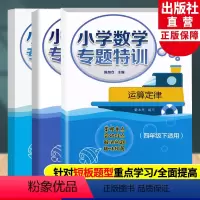 小学数学专题特训四年级下全3册 四年级下 [正版]小学数学专题特训 三角形+运算定律+小数的意义及加减法全3册 四年级下