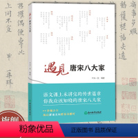 [正版]遇见唐宋八大家 司马一民著 唐宋八大家诗篇散文字画故事赏析 中华传统文化普及读物 中小学生课外读物 唐宋古典文