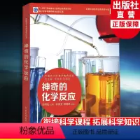 神奇的化学反应 [正版]神奇的化学反应 中国青少年科学教育丛书 科学院科研人员与中学教师联袂打造9-12-15青少年儿童