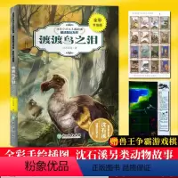 [正版]渡渡鸟之泪 全彩升级版 动物小说大王沈石溪精读酷玩系列 狼王梦作者儿童文学书籍8-12周岁三四五六年级小学生课
