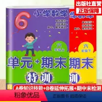 [正版]小学数学单元+期末特训六年级上下2册配人教版数学单元同步测试卷附答案期末复习测试习题 6年级上下册数学课外习题