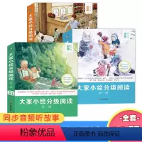 [全套19册]初阶+进阶+高阶 [正版]全套19册大家小绘分级阅读第一辑 初阶高阶进阶 小学生三四五六年级课外阅读书籍阅