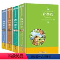 [正版]精装硬壳森林报春夏秋冬全套4册四五年级课外书注音故事绘本6-7-10-12岁儿童阅读书籍小学生二年级三年级文学