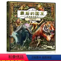 [正版]幻想大师系列后的国王精装硬壳绘本葛瑞米贝斯心灵三部曲 3一6岁儿童漫画书6-12周岁课外书 幼儿宝宝启蒙早教认