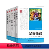 全套5册 [正版]全5册专家名师导读专家名师导读版世界名著系列一(一千零一夜等)青少年书籍初高中大学生阅读经典
