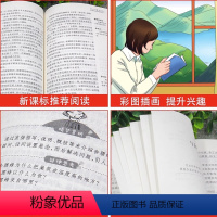 看看我们的地球李四光 [正版]看看我们的地球李四光 四年级下册非书 穿越地平线小学生三五六年级上下册外书阅读物快乐读书吧