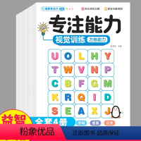 [正版]专注能力视觉训练全套4本潜能开发卡视觉追踪感知能力舒尔特方格听觉