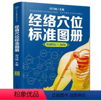 [正版]经络穴位标准图册 江苏凤凰科学技术出版社 中医推拿按摩书养生书籍大全 人体经络穴位图解养生书籍