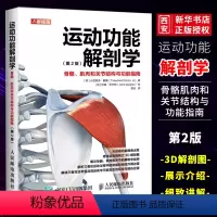 [正版]运动功能解剖学骨骼肌肉和关节结构与功能指南 人民邮电出版社 肌力与体能训练运动医学康复训练健身教练书籍