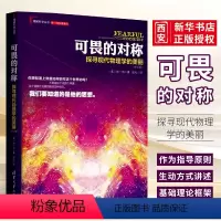 [正版]可畏的对称 探寻现代物理学的美丽 修订版 徐一鸿 彻底颠覆人类时空观理解科学丛书