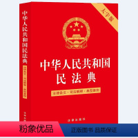 [正版]2024年新版中华人民共和国民法典 大字版 法律出版社 法律条文司法解释典型案例书籍