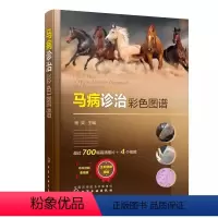 [正版]马病诊治彩色图谱 杨英 马内科病 马外科病和马产科病诊治技术 马病诊治指导书 养马技术人员基层工具书
