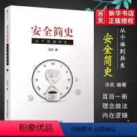 [正版]安全简史 从个体到共生 汤凯著 管理理论生产与运作管理书籍