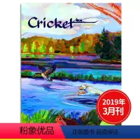 [正版]送音频美国儿童读物 Cricket 蟋蟀童书 2019年3月 儿童文学期刊英文杂志期刊 9~14岁少年课外阅读