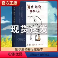 [正版]男孩鼹鼠狐狸和马(精装)中文版著名外国书籍小说我们这个时代的小王子绘本版龙猫男生图画书失望的句子语言表达
