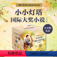 小小灯塔礼盒版(全17册) [正版]小小灯塔国际大奖小说注音版第一二三辑全套17册丢失火花吹口哨的男孩雪天使的守护小红帽