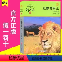 [正版]红飘带狮王 沈石溪动物小说单本升级版 品藏书系列全集套9-12-15岁四五六年级初中小学生课外阅读书籍儿童长篇