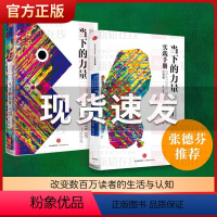 当下的力量+实践手册[全2册] [正版]张德芬当下的力量+当下的力量实践手册全套2册 白金版 心灵大师埃克哈特·托利 出