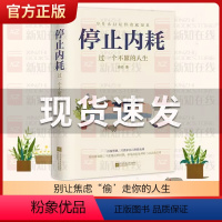 [正版]停止内耗 过一个不累的人生 若杉著 人民日报倡导的生活态度 重新掌控自己的生活 抖音微博公众号等社交平台热议话