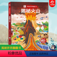 揭秘火山 [正版]揭秘火山世界翻翻书揭秘系列儿童翻翻书3d立体书3-6-8-10岁小学生科普百科全书故事读物机关绘本认知