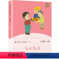 爱的教育 [正版]快乐读书吧人教版六年级上册童年爱的教育小英雄雨来3册曹文轩陈先云小学生必读课外书阅读书籍高尔基人民教育