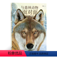 单本全册 [正版]童书 与森林动物面对面 5岁以上 自然科普绘本15种森林动物 童书