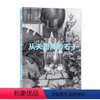 单本全册 [正版] 从天而降的石子 5岁以上炭笔绘制童年幻想宇宙日本绘本图画故事亲子阅读书籍 童书