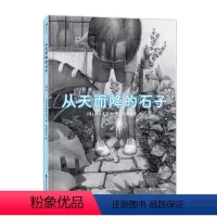 单本全册 [正版] 从天而降的石子 5岁以上炭笔绘制童年幻想宇宙日本绘本图画故事亲子阅读书籍 童书