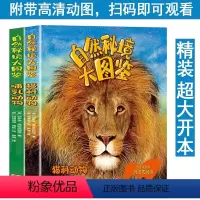 自然秘境大图鉴 猫科动物+哺乳动物 [正版]精装 自然秘境大图鉴:猫科动物+哺乳动物 大8开 6-14岁科普百科书 动