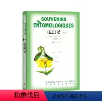 昆虫记 八年级/初中二年级 [正版]昆虫记 法布尔 语文教科书名著导读书目 八年级阅读 人民教育出版社