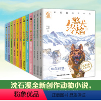 [全套12册]沈石溪动物小说 警犬冷焰 [正版]沈石溪动物小说全集 警犬冷焰全12册黄金蟒之子的复仇喜马拉雅山巨兽迷失鹦