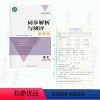 [正版]含试卷答案人教金学典同步解析与测评学考练五5年级下册语文人教版同步解析与测评语文5五年级下册配套练习册