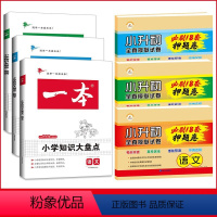 知识大盘点+小升初试卷[语数英]6本 小学升初中 [正版]2023一本小学语文数学英语基础知识大盘点 小学知识大全四五六