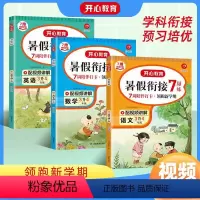 语文+数学+英语 3本套装 小学三年级 [正版]暑假作业暑假衔接一升二升三升四升五升六语文数学英语人教版小学暑期衔接复习