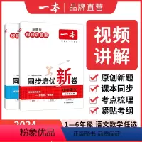 [套装]语文+数学 二年级上 [正版] 2024小学语文数学下册同步培优试卷人教 一二三四五六年级下册测试卷 小学同步练