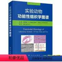 [正版]彩图实验动物功能性组织学图谱 李宪堂 等编著 实验动物的系统组织学、超微组织学 科学出版社