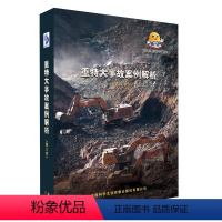 [正版]重特大事故案例解析(第八季)U盘2024年全国“安全生产月事故警示教育片