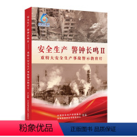 [正版]2024安全月 安全生产警钟长鸣Ⅱ—重特大安全生产事故警示教育片U盘