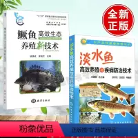 [正版]全2册鳜鱼高效生态养殖新技术+淡水鱼高效养殖与疾病防治技术 鱼病防治快速诊断鱼苗饲养大全