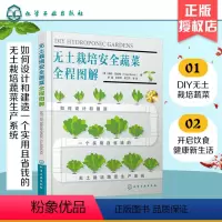 [正版]书籍 无土栽培安全蔬菜全程图解 无土栽培园艺农业种植技术蔬菜园艺无土栽培技术蔬菜种植技术家庭小菜园水培植物种植