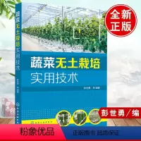 [正版]书籍 蔬菜无土栽培实用技术 彭世勇果蔬菜类叶菜类蔬菜芽苗菜高效绿色种植技术教程书籍 大棚果蔬西红柿黄瓜茄子水培